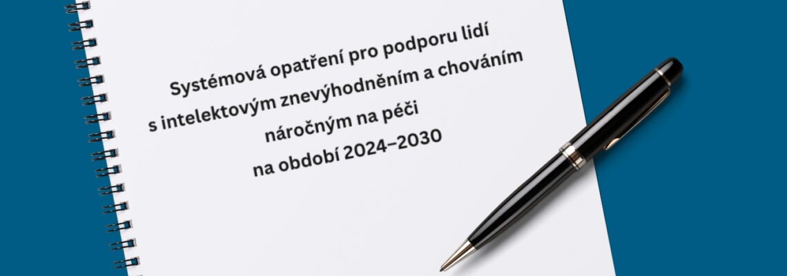 Cesta k lepšímu systému podpory pro lidi s PAS+